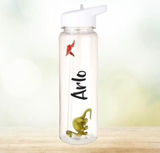 Sports Bottle