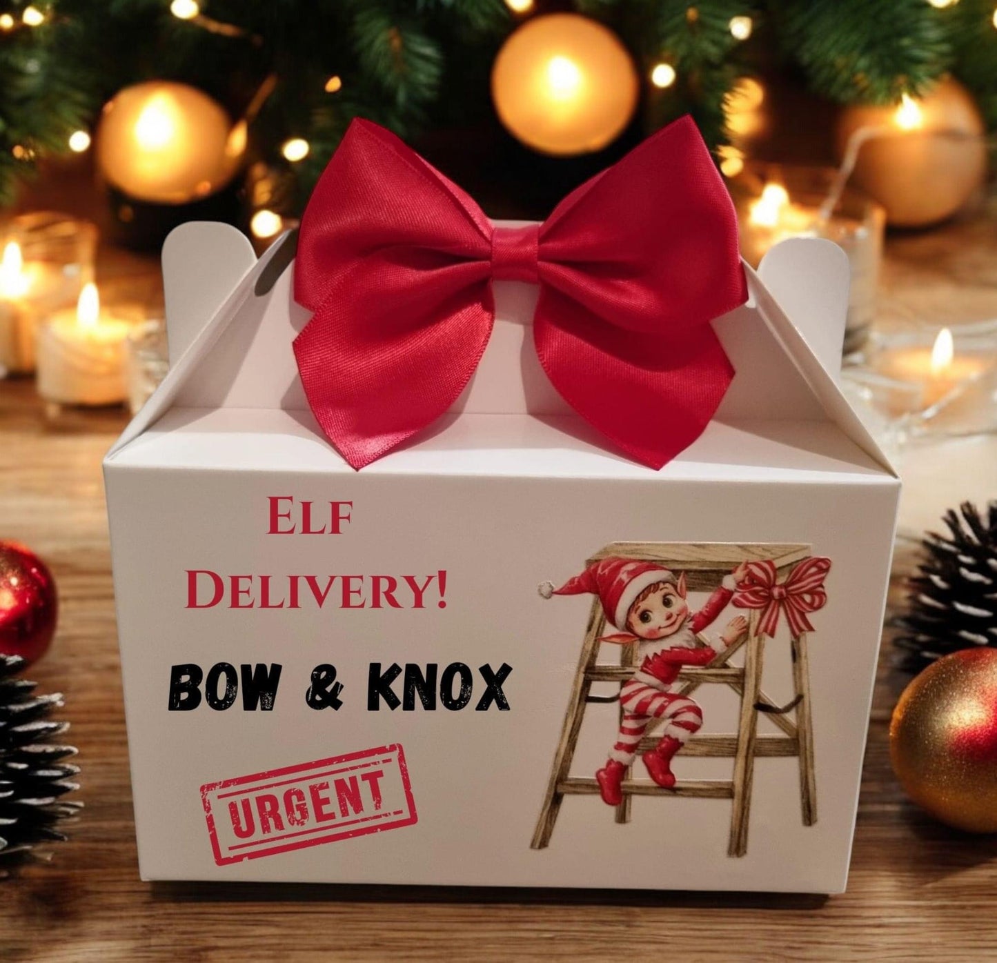 Elf Delivery Christmas Box