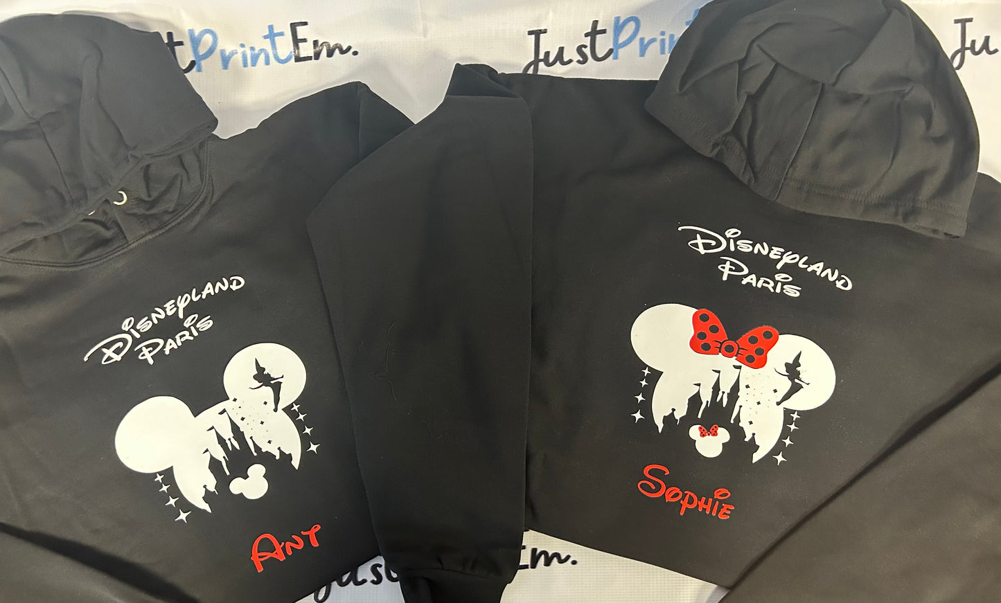 Disneyland Paris Hoody