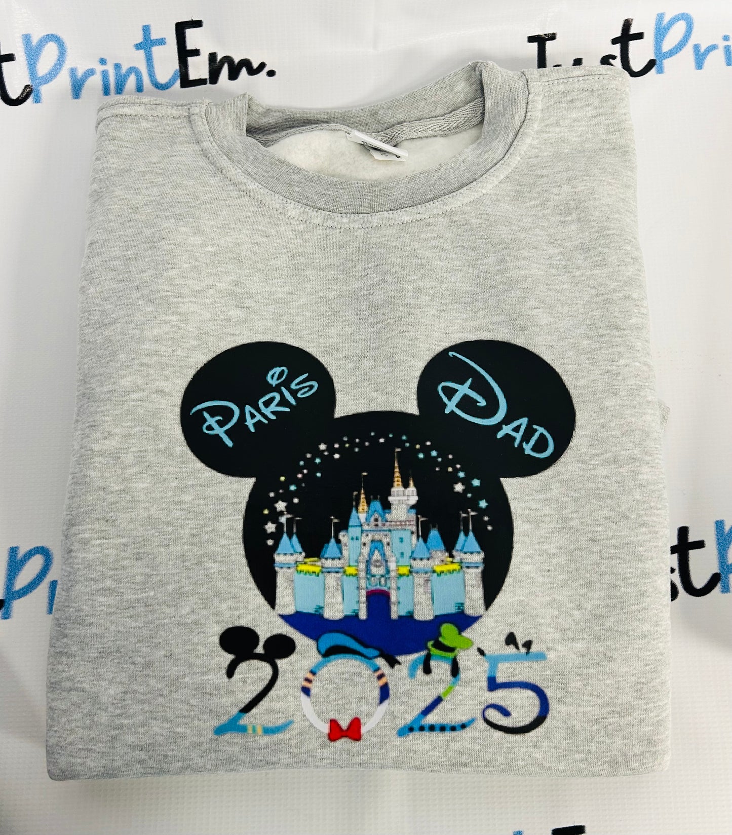 Disneyland Paris 2025 Jumper