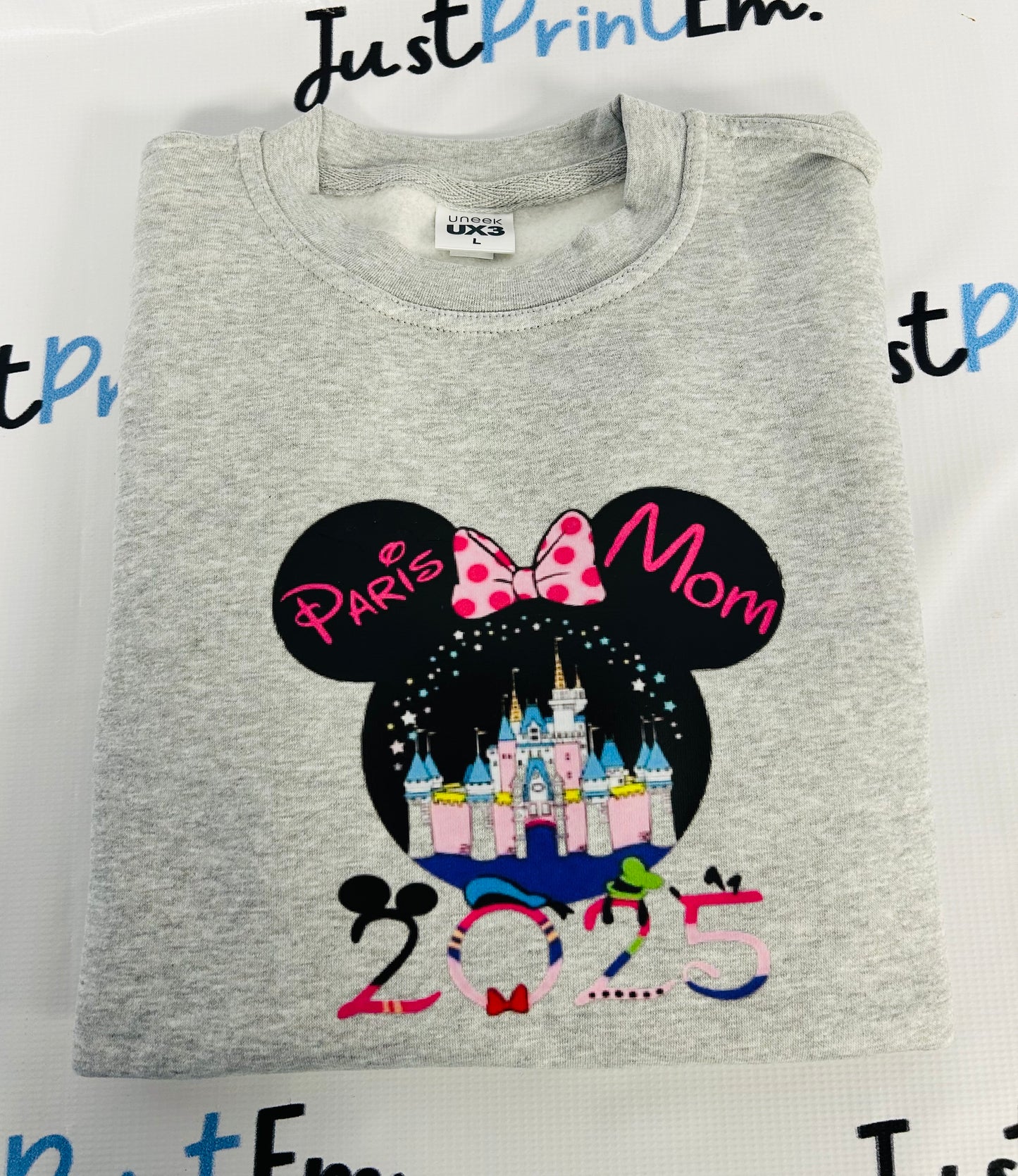 Disneyland Paris 2025 Jumper