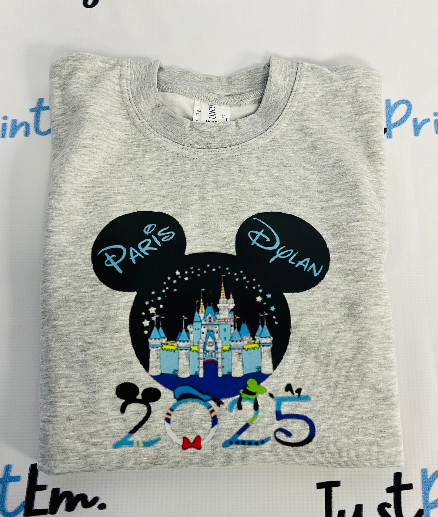 Disneyland Paris 2025 Jumper