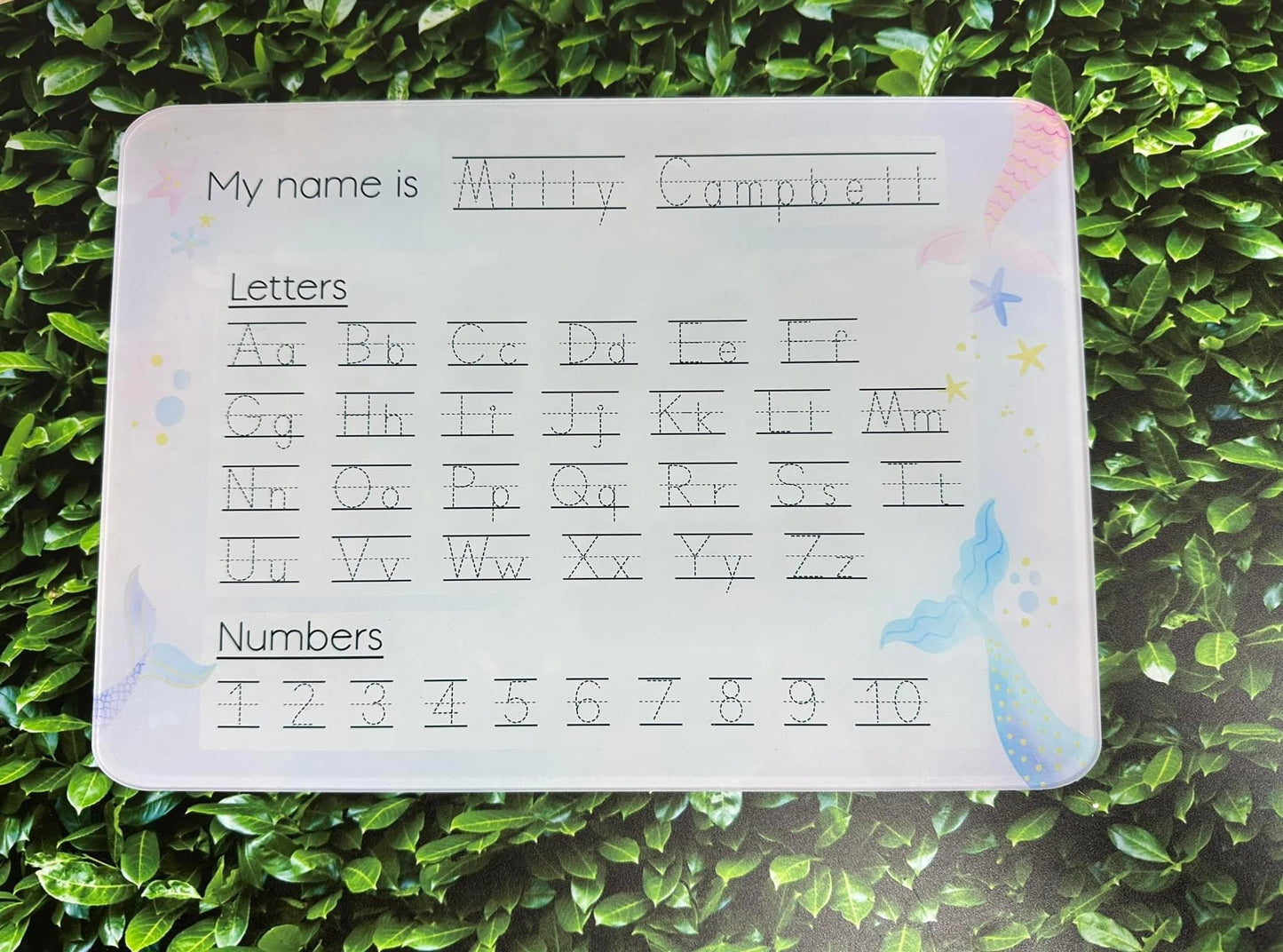 Educational A4 Wipeable Writing Boards