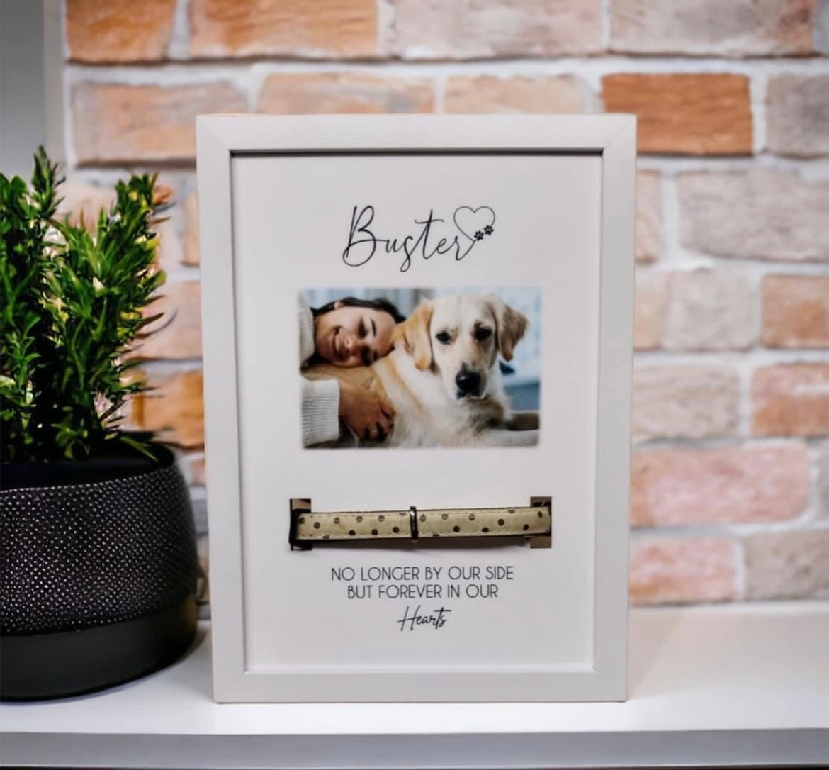 Pet Collar Memorial Frame
